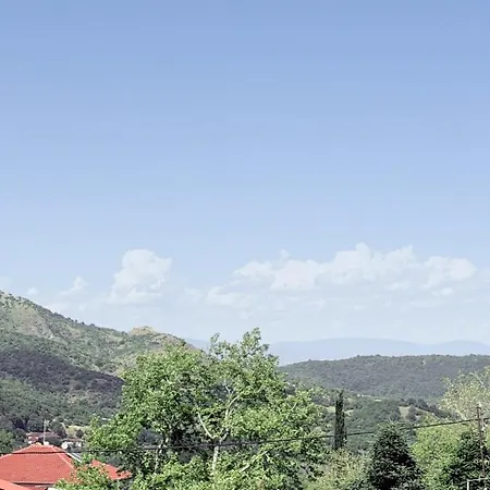 Pilaiea Kalliston Traditional House Near Trikala-Meteora-Pertouli Pialeia