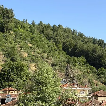 Pilaiea Kalliston Traditional House Near Trikala-Meteora-Pertouli Apartament
